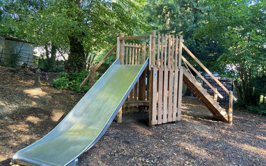 Bespoke Timber Structures: What You Can Build