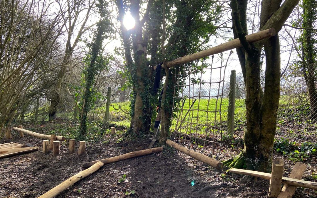 Woodland Timber Trails For Early Years: What Works, What Fails, What Lasts
