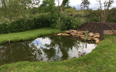 How To Maintain Habitat? What To Do Monthly And Seasonally