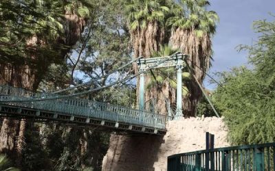 Designing Spaces That Support Wildlife And Still Work For Kids