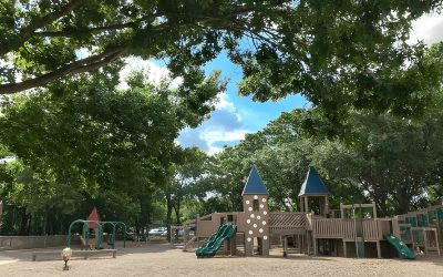 Why do most school planting plans end up as a patch of weeds?