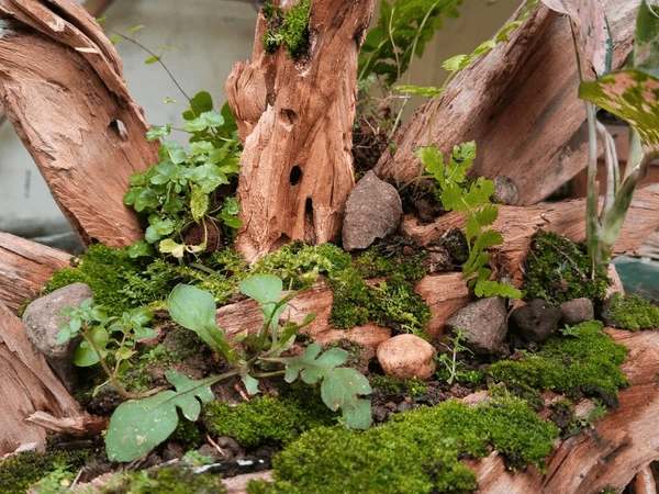 How To Plan And Succeed With A Mini Woodland Planting Project