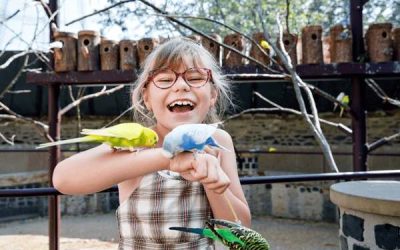 Designing Spaces That Support Wildlife And Still Work For Kids
