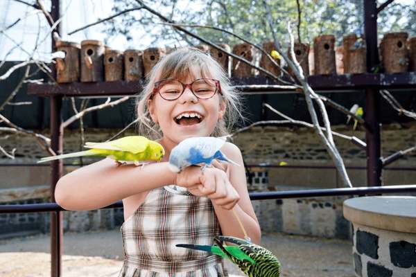 Designing Spaces That Support Wildlife And Still Work For Kids